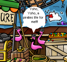 flamingo-pirates.png